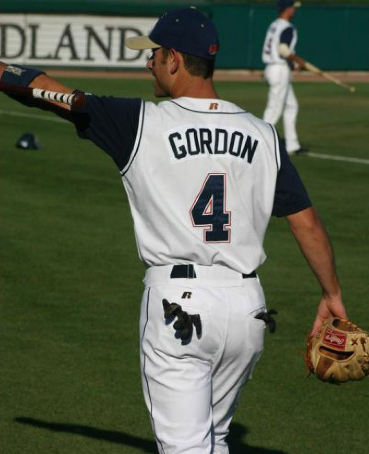 baseball